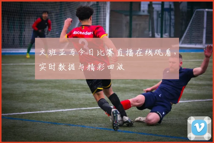 文班亚马今日比赛直播在线观看，实时数据与精彩回放
