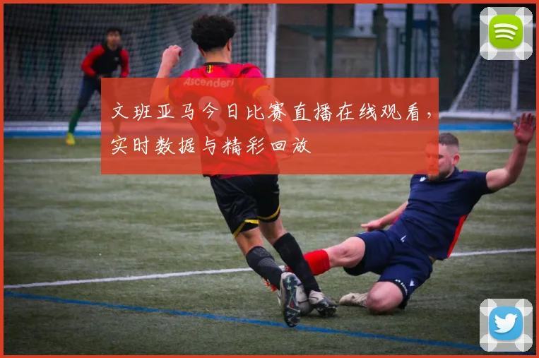 文班亚马今日比赛直播在线观看,实时数据与精彩回放